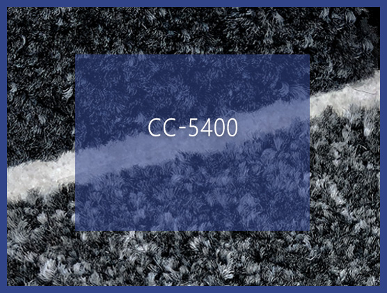 CC-5400 ruller